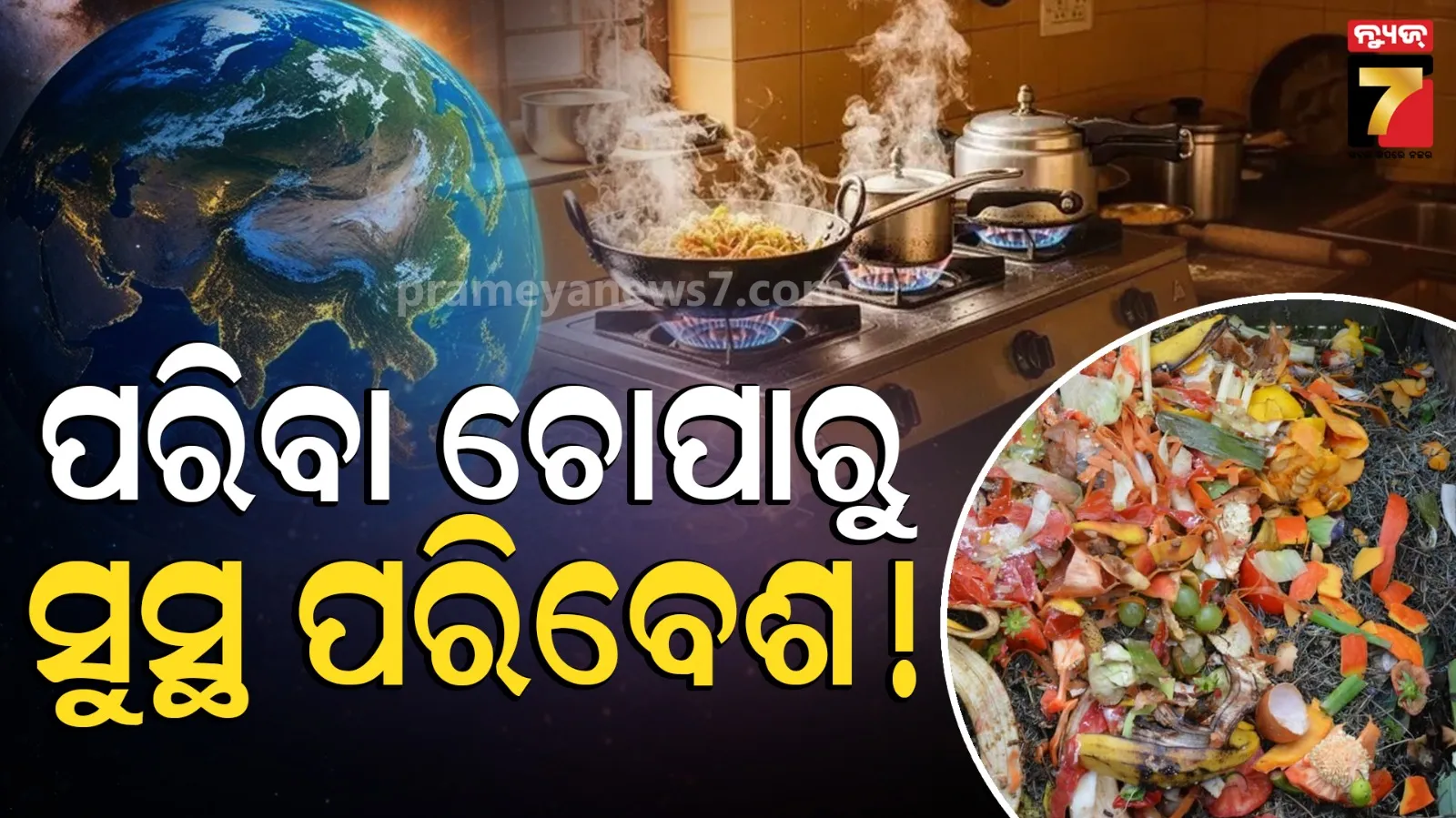 Organic Fertilizer at Home