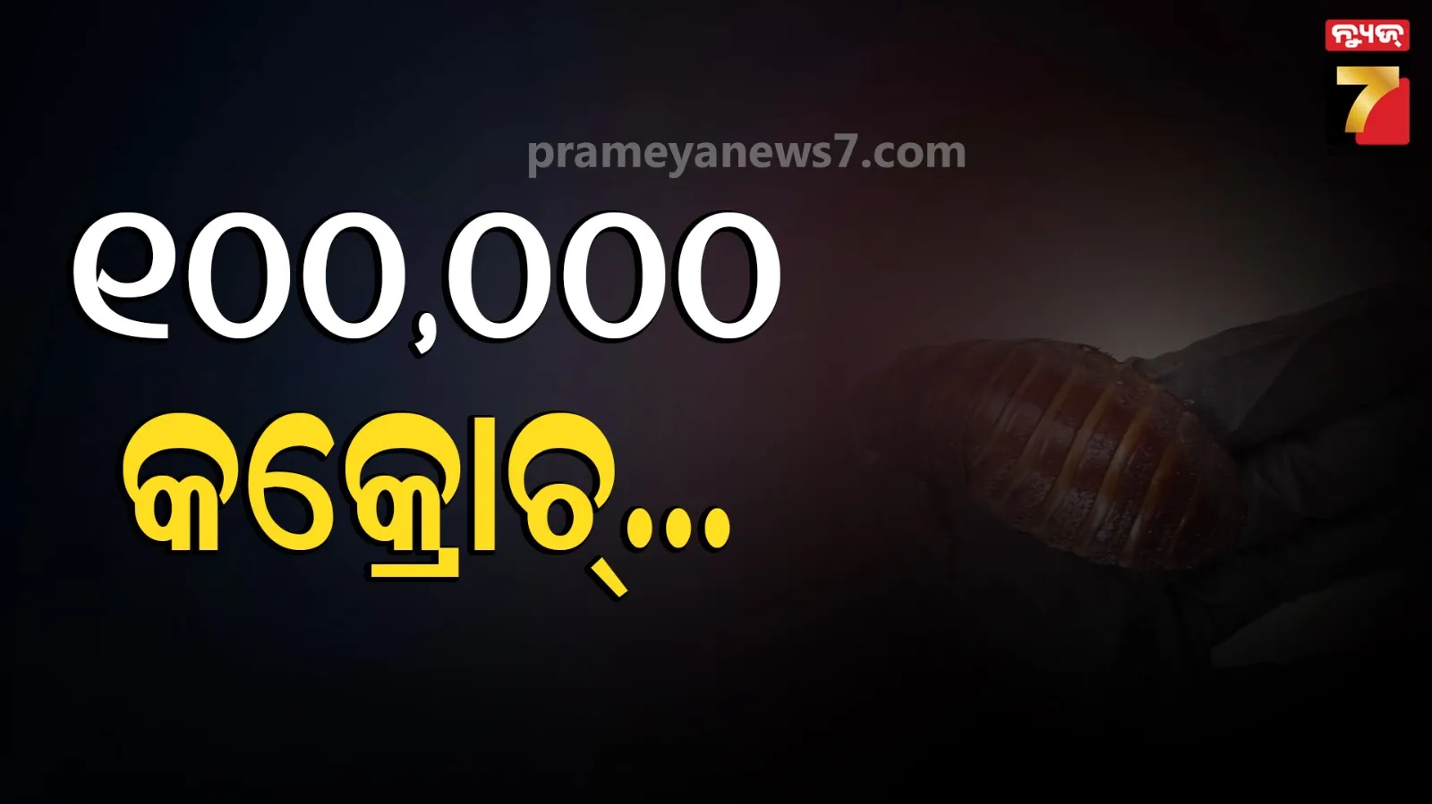 ସରୀସୃପଙ୍କ ଖାଦ୍ୟ, ଲକ୍ଷେ ବିରଳ ଅସରପା, ଦାମ୍-୨ ଲକ୍ଷ ଅଷ୍ଟ୍ରେଲୀୟ ଡଲାର; କାହିଁକି ଚଢାଉ କରି ଧରିଲା ପୋଲିସ