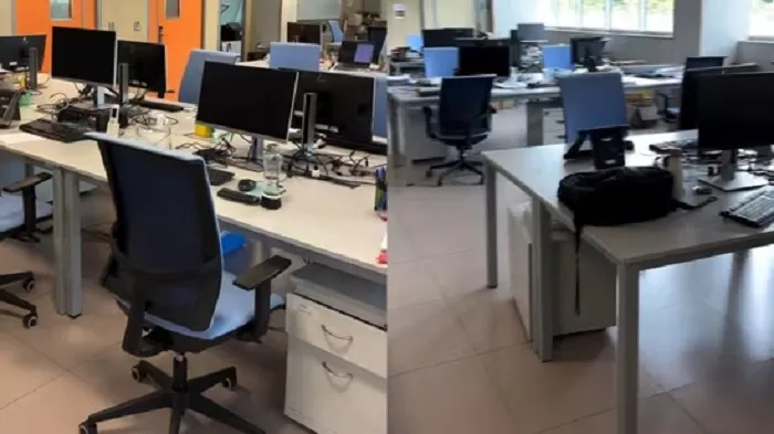 Empty Office at 5:15 PM: Indian Woman Compares Work Culture in Europe vs India