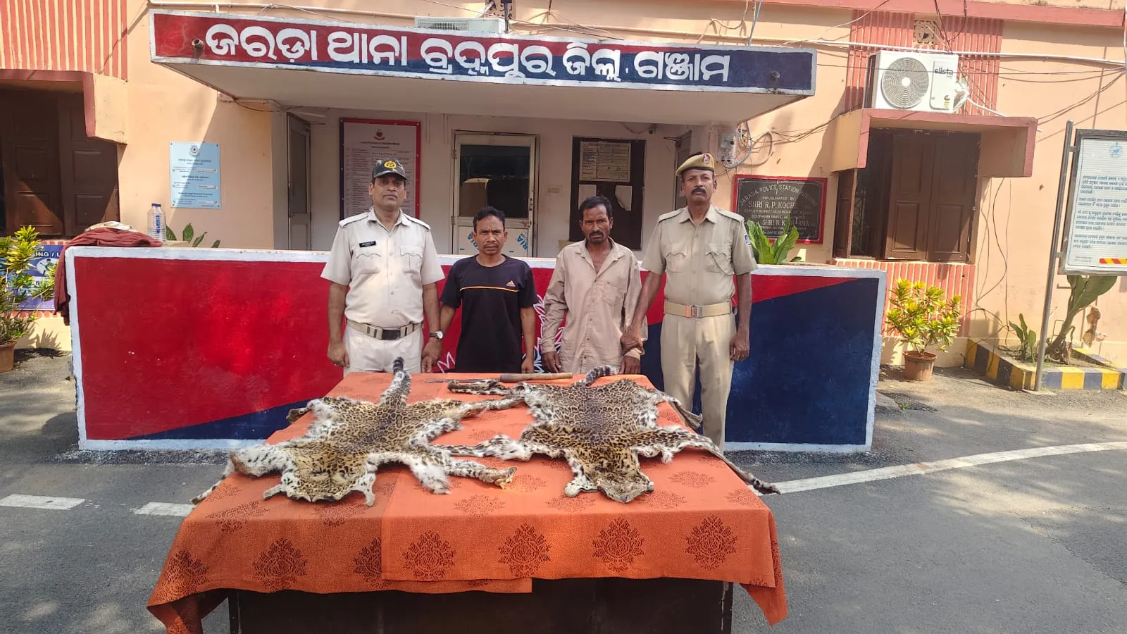 Berhampur police seized two leopard and tiger skins and arrested two accused.