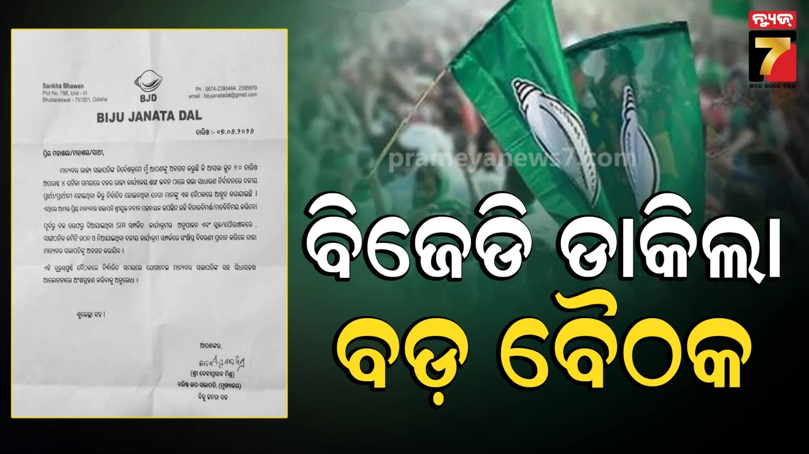 bjd
