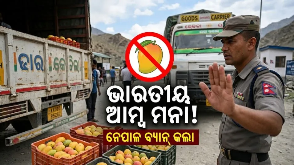 ଜାପାନ ପରେ ଏବେ ନେପାଳ ବ୍ୟାନ କଲା ଭାରତୀୟ ଆମ୍ବ; ଆଣିଲା ସାଂଘାତିକ ଅଭିଯୋଗ