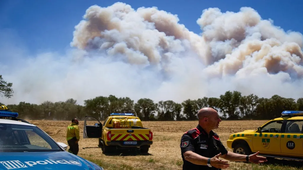 forest fire