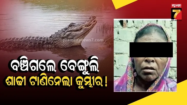 ନଦୀରେ ଗାଧୋଉଥିଲେ ମହିଳା, ଶାଢିର କାନି ଟାଣିନେଲା କୁମ୍ଭୀର ! ସବୁ ଫିଙ୍ଗି କୂଳକୁ ଧାଇଁଲେ...