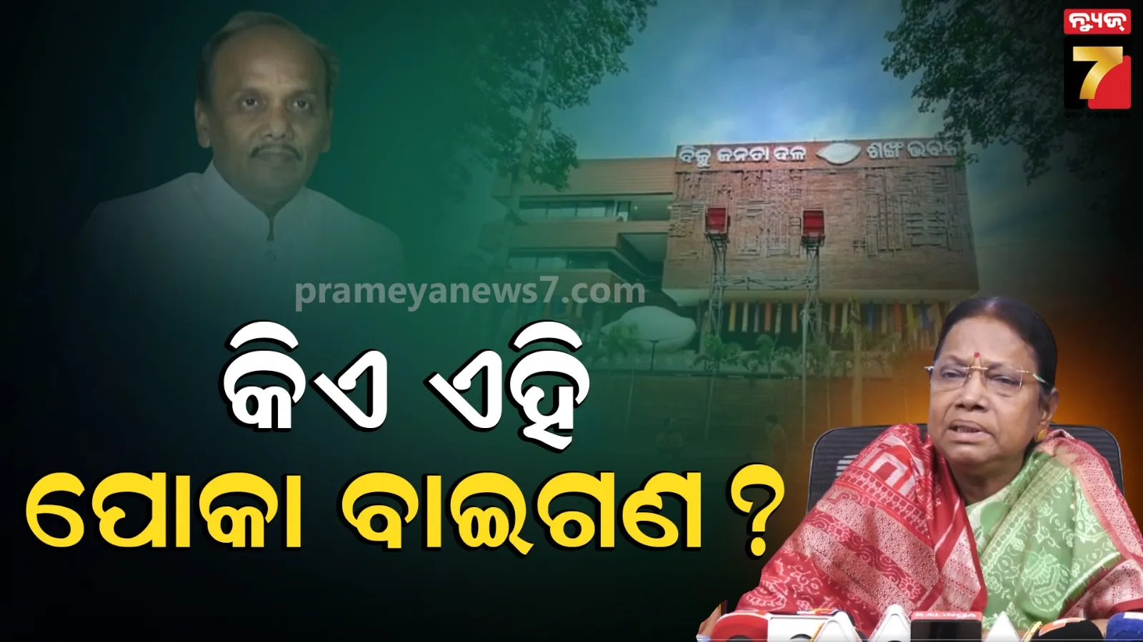 ପୋକା ବାଇଗଣ କେତେ ଆସିବେ କେତେ ଯିବେ, ଦଳକୁ କିଛି ଫରକ ପଡ଼ିବନି