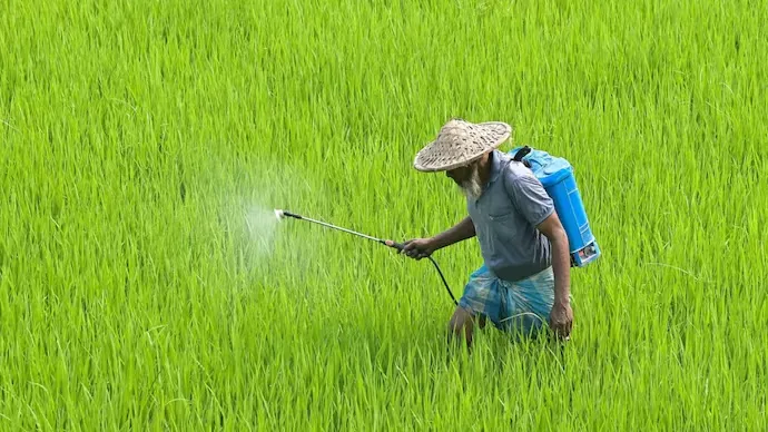India bans paraquat: ଏହି ଘାସମରା ବିଷ ବ୍ୟବହାର ଉପରେ ରୋକ୍‌ ଲଗାଇଲେ ସରକାର,  ୭୪ ଦେଶରେ ହୋଇସାରିଛି ବ୍ୟାନ୍‌  