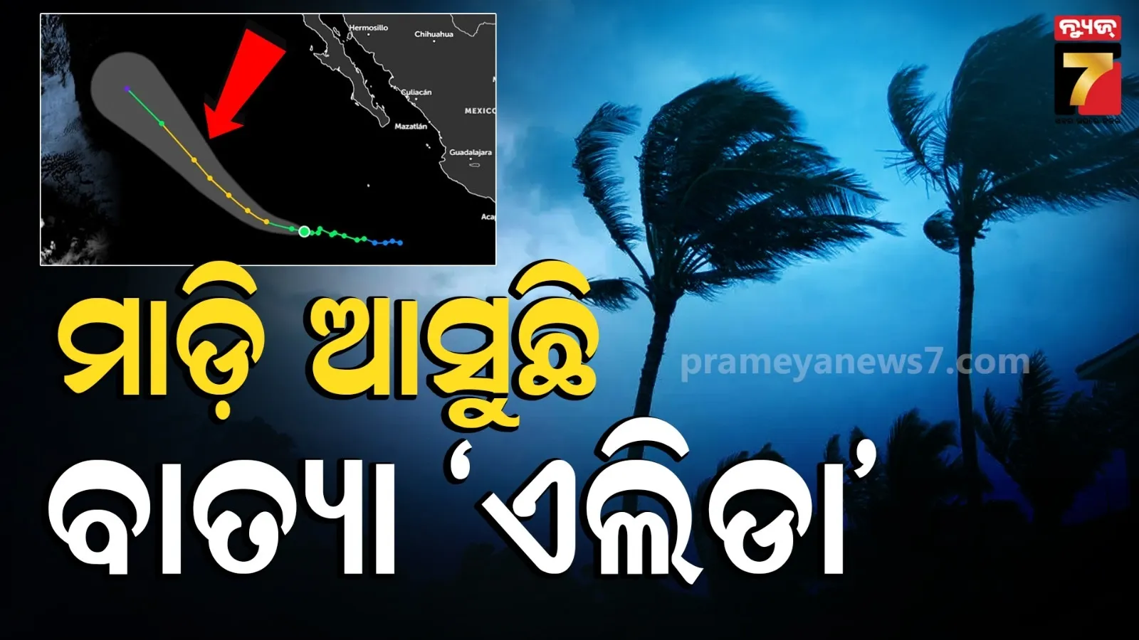 cyclone news