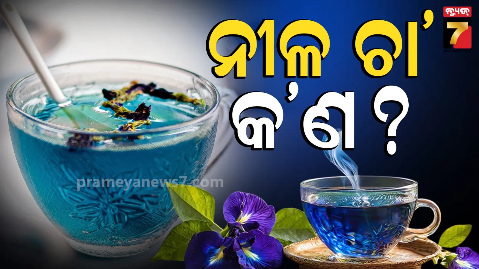 blue-tea