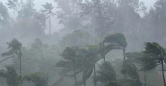 rain