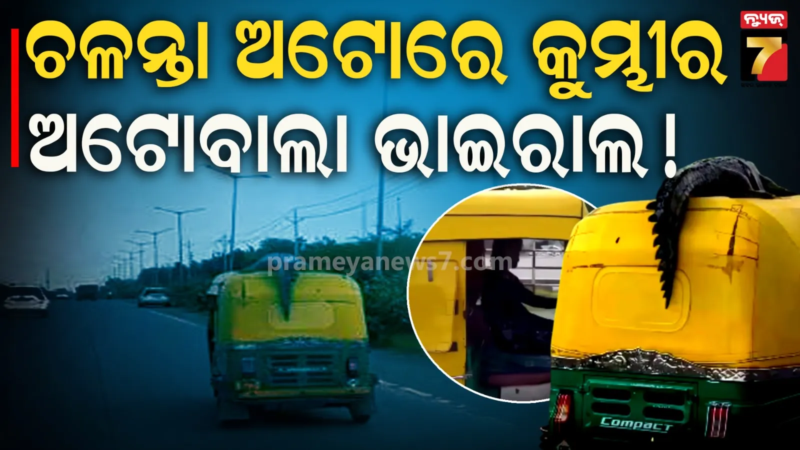 ଚଳନ୍ତା ଅଟୋରେ କୁମ୍ଭୀରକୁ ବସାଇ ଅଟୋଵାଲା ଭାଇରଲ ! ଦେଖନ୍ତୁ ଏହି ଦୃଶ୍ୟ...
