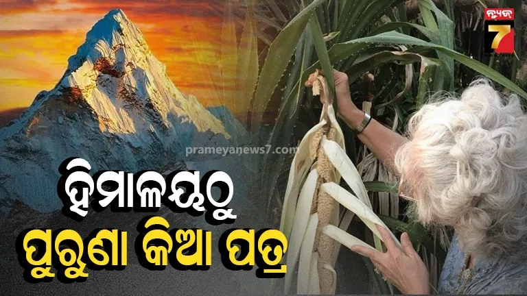  Kewra Fossils: ହିମାଳୟଠୁ ବି ପ୍ରାଚୀନ, ଆସାମରେ ୨.୪ କୋଟି ବର୍ଷ ତଳର କିଆ ପତ୍ର ଜୀବାଶ୍ମ