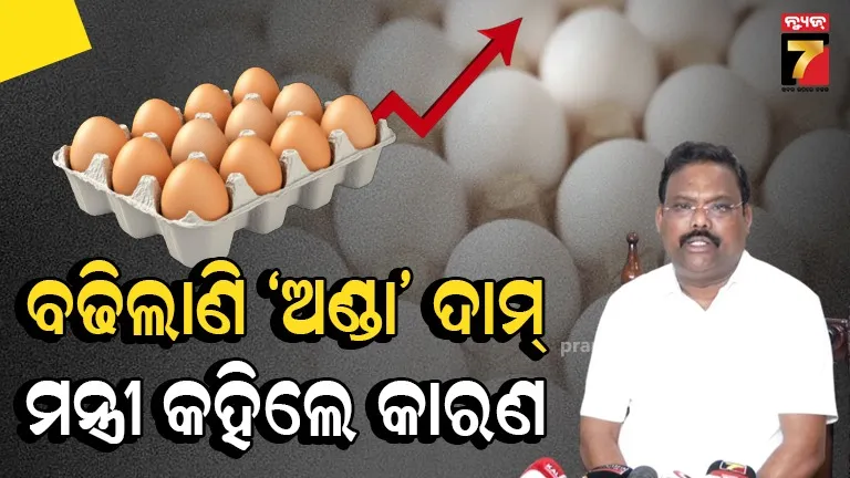 Egg Price Hike : ଅଣ୍ଡା ଦାମ୍‌ ଉପରମୁହାଁ, ହଠାତ୍ ବଢ଼ିଲା ୨ ଟଙ୍କା, ମତ୍ସ୍ୟ ଓ ପ୍ରାଣୀ ସମ୍ପଦ ମନ୍ତ୍ରୀ କହିଲେ କାରଣ..