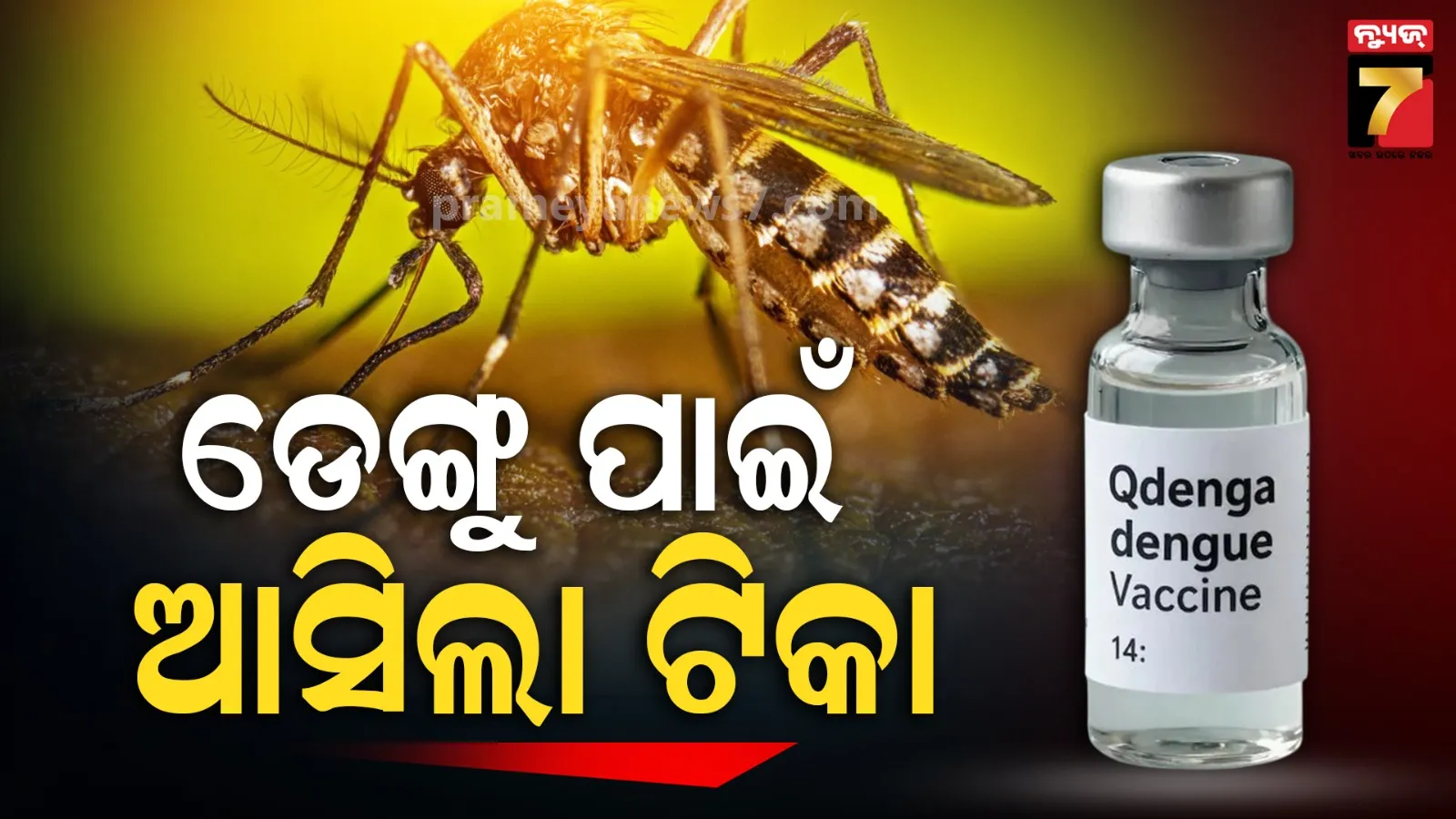 ଭାରତରେ ପ୍ରଥମ ଡେଙ୍ଗୁ ଟିକା ‘QDENGA’କୁ ମିଳିଲା ମଞ୍ଜୁରୀ, ବୟସ୍କଙ୍କୁ ମଧ୍ୟ ଦିଆଯାଇପାରିବ ଡୋଜ୍