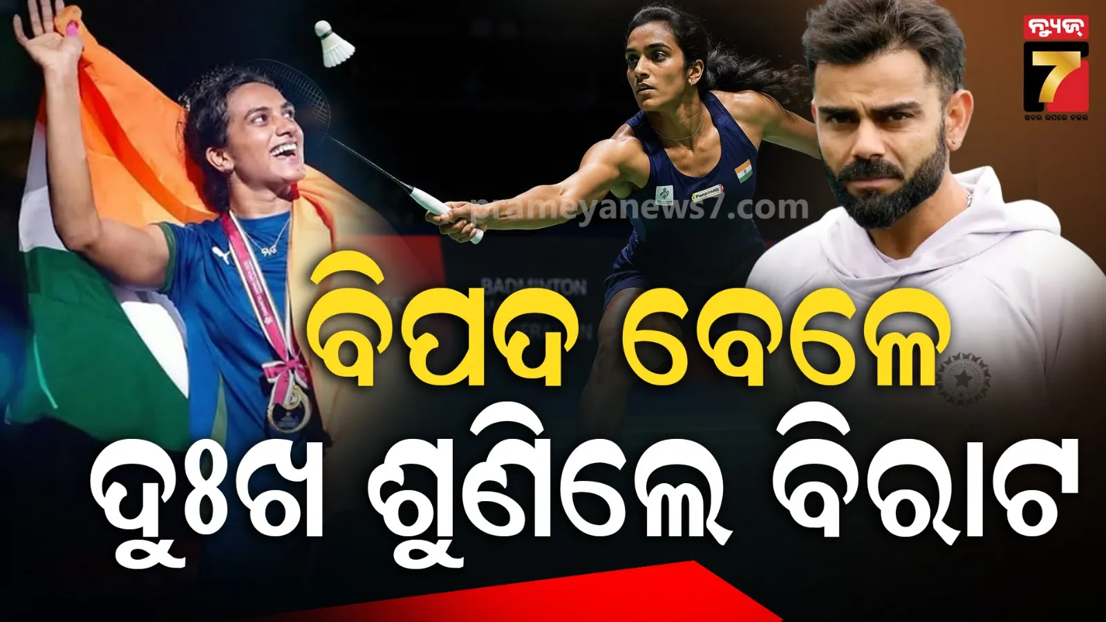 ବିରାଟଙ୍କ ପାଇଁ ଟ୍ରଫି ଜିତିଲେ ପିଭି ସିନ୍ଧୁ, ରନ୍ ମେସିନଙ୍କୁ ଦେଲେ ସବୁ ଶ୍ରେୟ ! ଜାଣନ୍ତୁ କାହିଁକି...