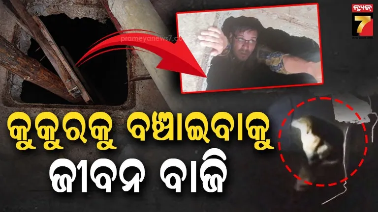 Sambalpur Two Stray Dogs Stuck in a Septic Tank