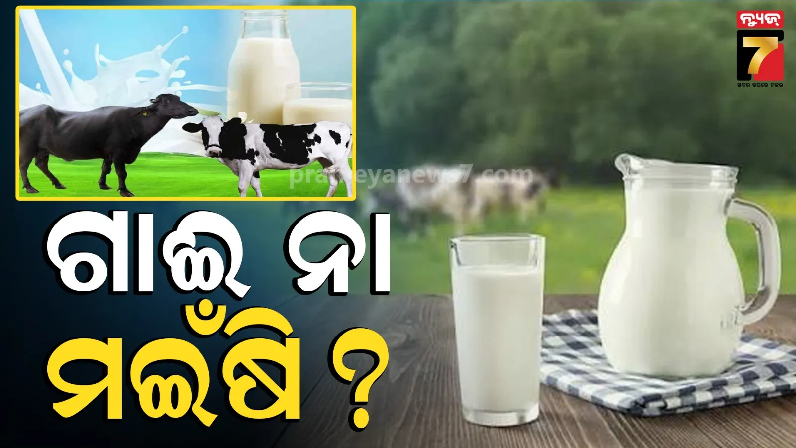 milk