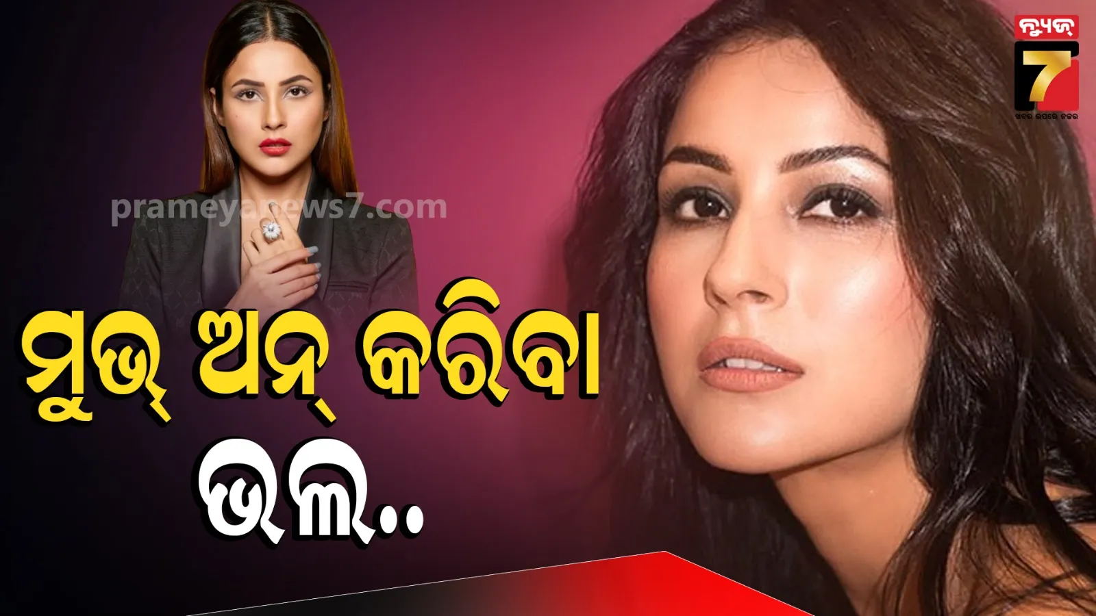 Shehnaaz Gill opened up about love