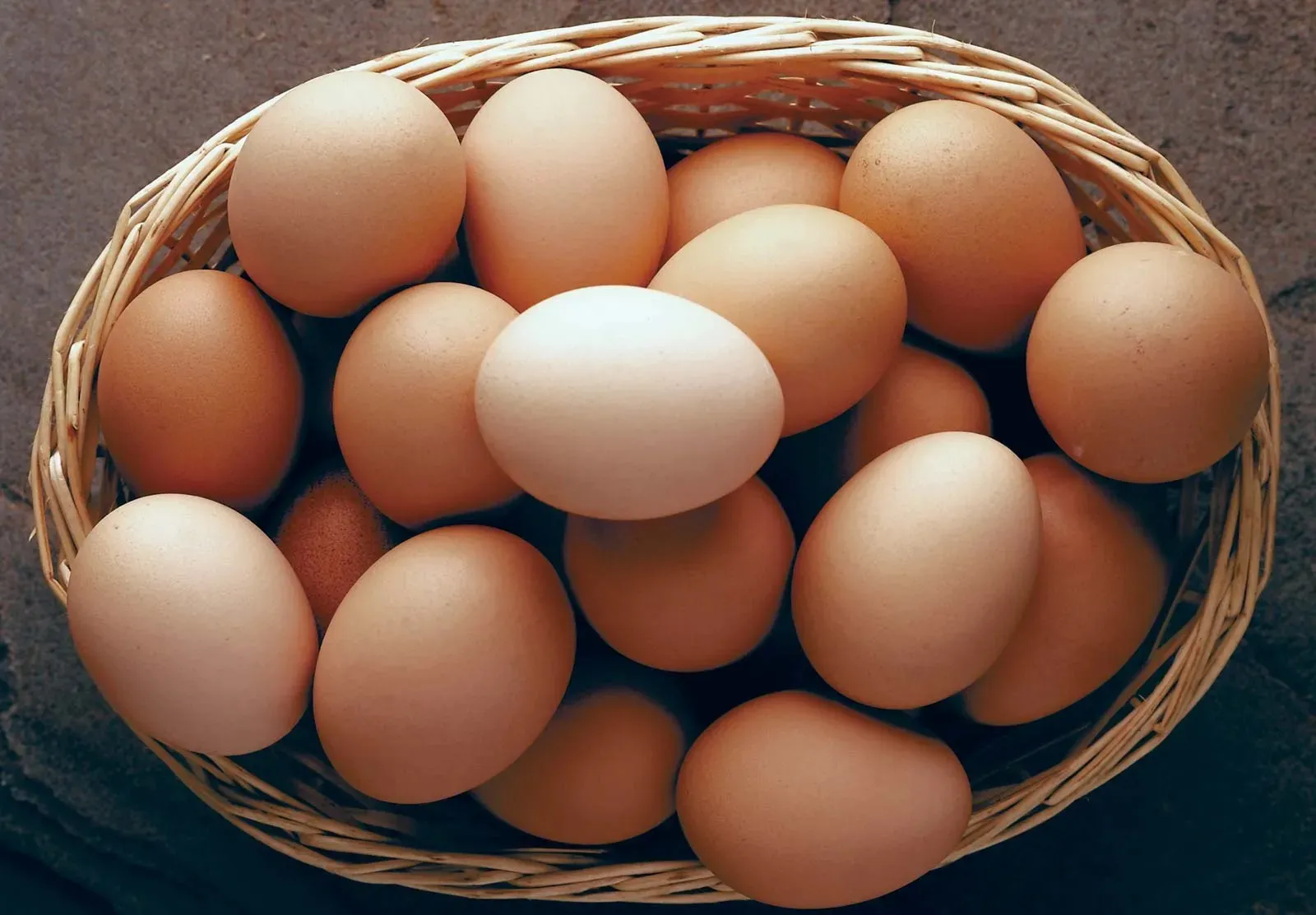 egg price