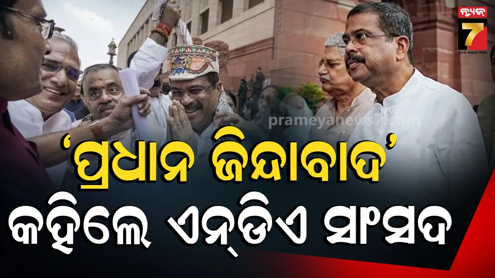 Dharmendra Pradhan Parliament