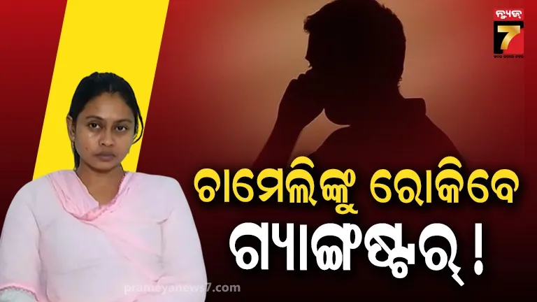 ଚାମେଲି କରିବେ କ'ଣ ? ଧମକ ଦେଉଛି ଗ୍ୟାଙ୍ଗଷ୍ଟର୍ ସାଜନ ! ଭାଇରାଲ ହେଲା ଅଡିଓ କ୍ଲିପ୍...