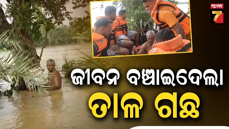 Bhadrak farmer rescue: ୨୪ ଘଣ୍ଟା ତାଳଗଛ ଉପରେ ମୃତ୍ୟୁ ସହ ସଂଘର୍ଷ, ଚାଷୀଙ୍କୁ ଉଦ୍ଧାର କଲା ଓଡ୍ରାଫ୍