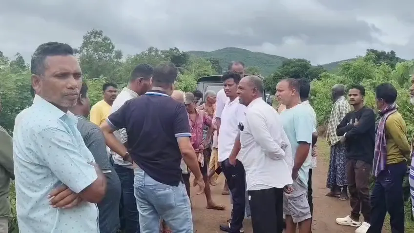 Farmer Killed by Elephant Attack
