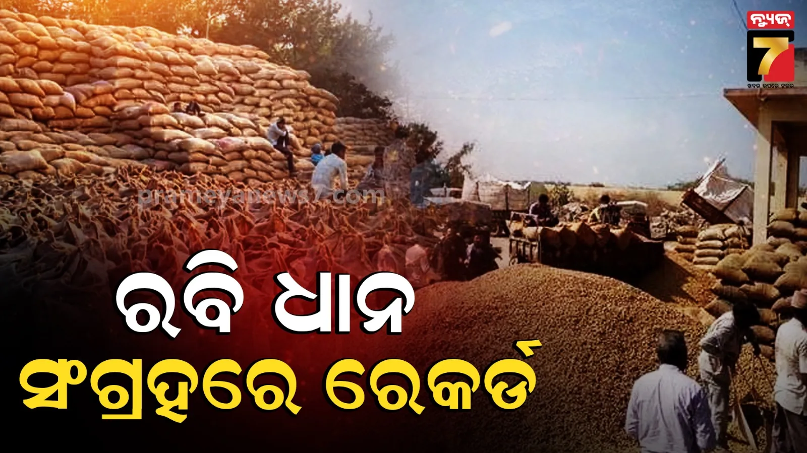 Paddy Procurement : ରବି ଧାନ ସଂଗ୍ରହରେ ରେକର୍ଡ, ୩ ଜୁଲାଇ ସୁଦ୍ଧା ୨୦.୨୦ ଲକ୍ଷ ମେଟ୍ରିକ୍ ଟନ ରବି ଧାନ ସଂଗ୍ରହ