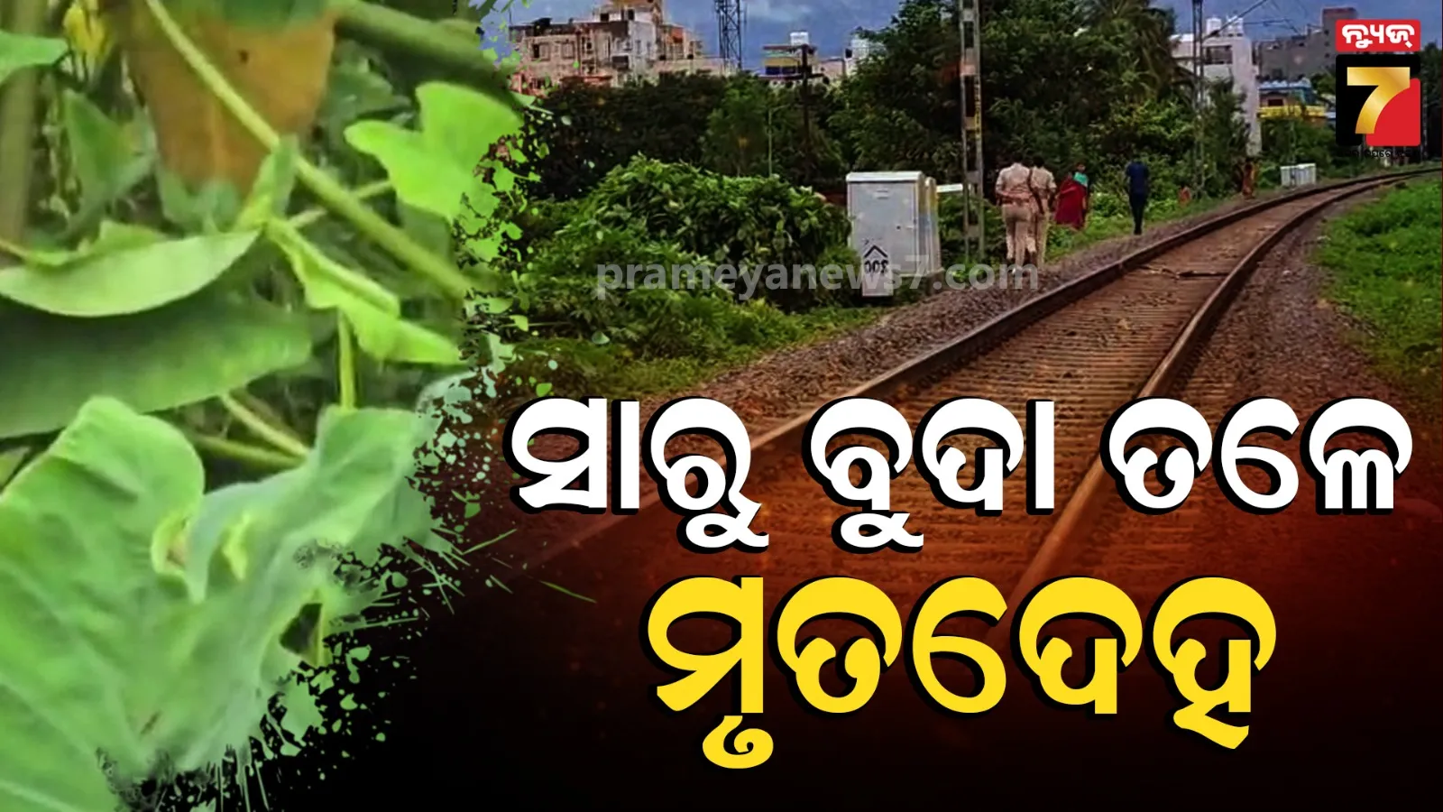 କେନାଲ କଡ଼ରୁ ମିଳିଲା ଅଜଣା ମୃତଦେହ, ଭାସି ଆସିଛି ନା କିଏ ମାରି ପୋତିଛି ?