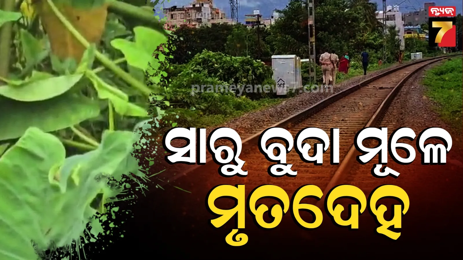 Bhubaneswar News
