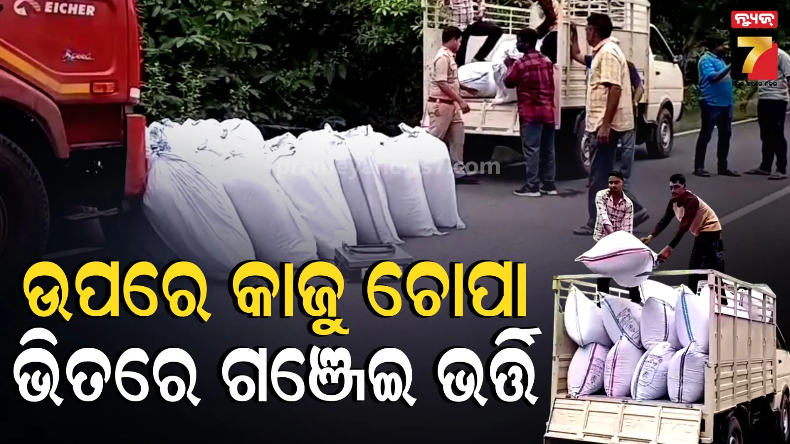 Cannabis Seized: କନ୍ଧମାଳରୁ ମହାରାଷ୍ଟ୍ର ହେଉଥିଲା ଚୋରା ଚାଲାଣ, ଟ୍ରକ୍ରୁ ମିଳିଲା ୧୦ କ୍ୱିଣ୍ଟାଲରୁ ଅଧିକ ଗଞ୍ଜେଇ