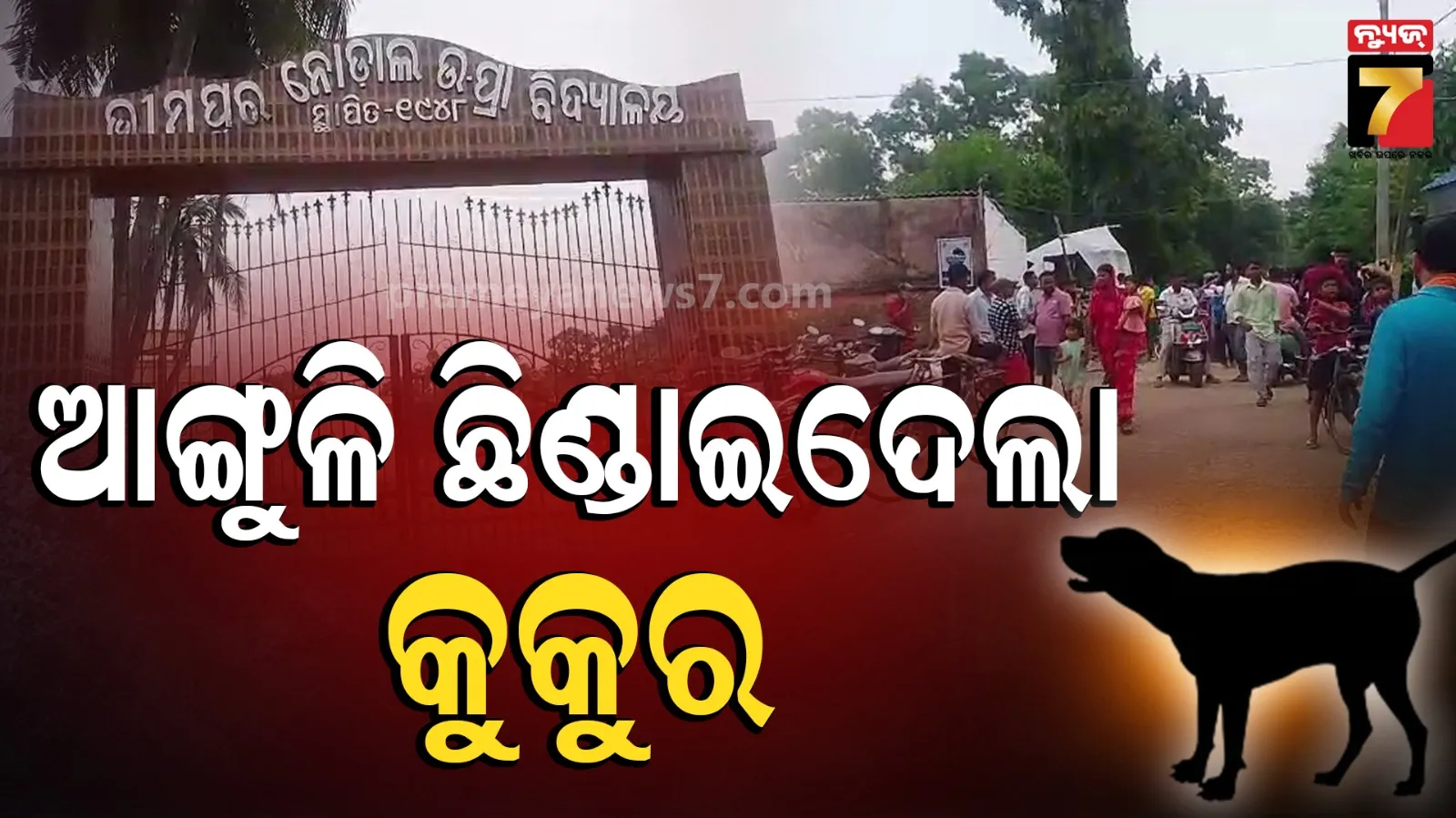 ଛାତ୍ରଙ୍କ ଆଙ୍ଗୁଳି କାମୁଡି ଛିଣ୍ଡାଇଲା କୁକୁର...