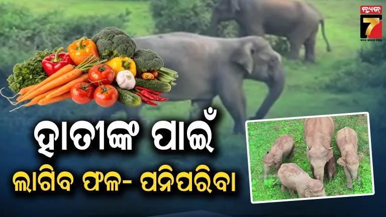 Odisha government 