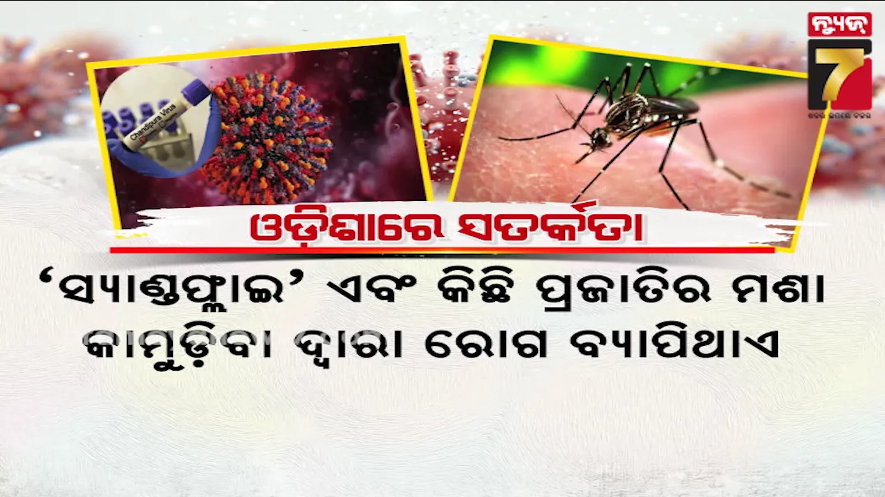 ଗୁଜରାଟରେ ଚାନ୍ଦିପୁରା ଭାଇରସ ନେଲାଣି ୨୨ ଶିଶୁଙ୍କୁ ଜୀବନ, ବିଭିନ୍ନ ରାଜ୍ୟରେ ଆଲର୍ଟ ଜାରି