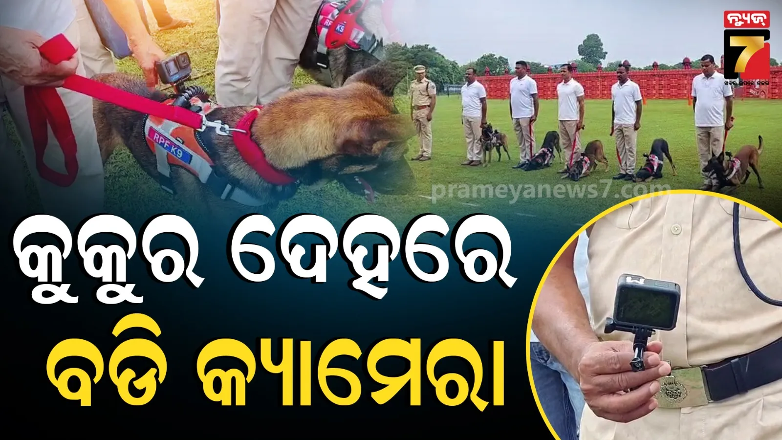 ରେଳ ସୁରକ୍ଷାରେ ନୂଆ ପଦକ୍ଷେପ : ଅପହଞ୍ଚ ସ୍ଥାନରେ ତଦନ୍ତ କରିବ କୁକୁର, ଦେହରେ ଲାଗିଲା କ୍ୟାମେରା