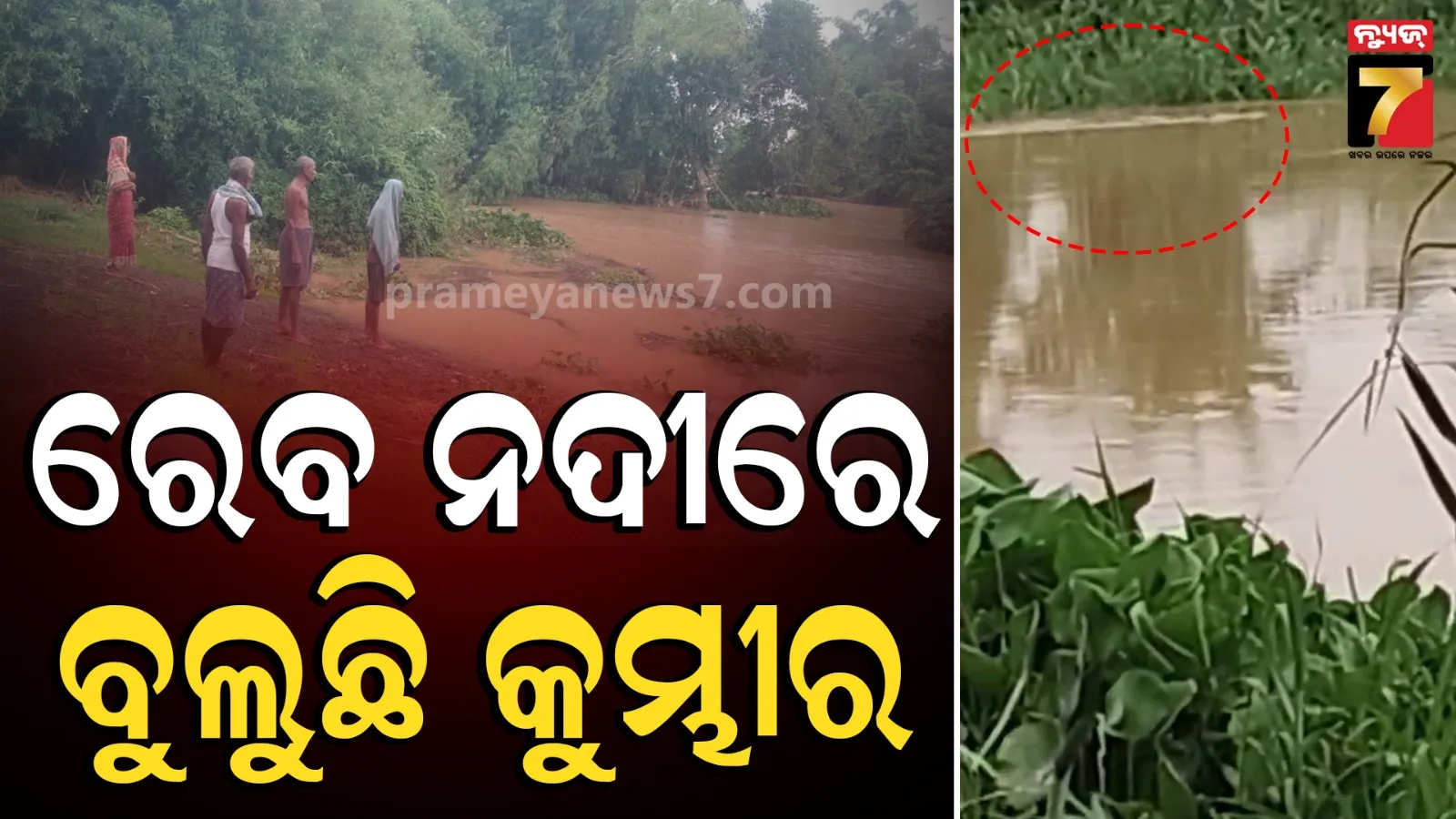 କୁକୁରକୁ ଟାଣି ନେଲା କୁମ୍ଭୀର, ଆତଙ୍କିତ ଗ୍ରାମବାସୀ