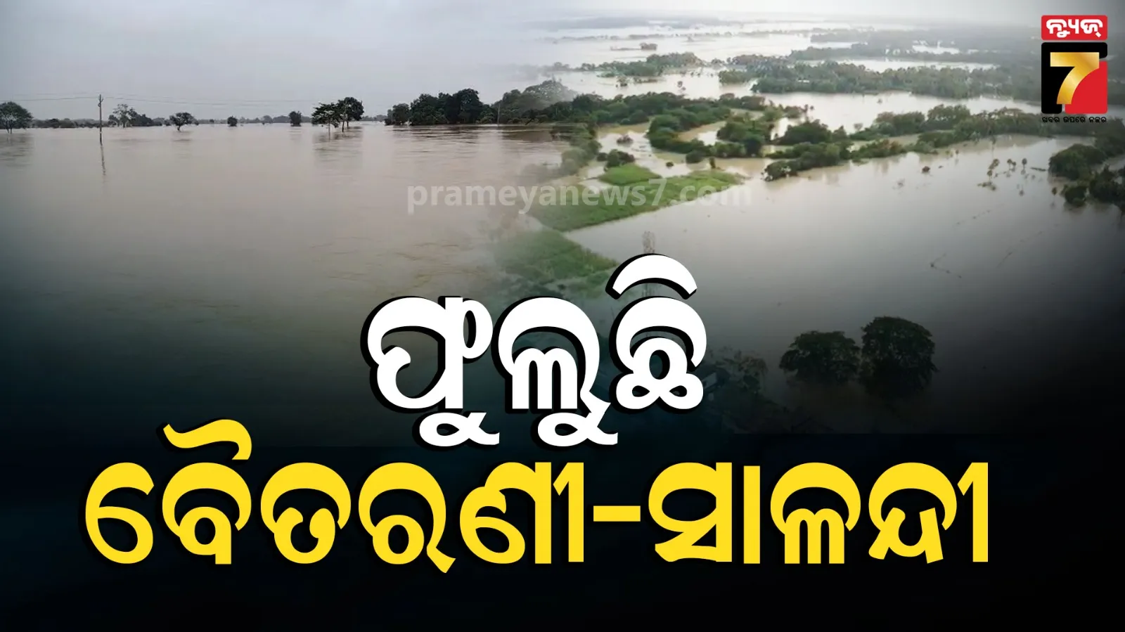 ଡ଼ରାଇଲାଣି ବୈତରଣୀ ଓ ସାଳନ୍ଦୀ, ବଢୁଛି ୨ ନଦୀର ଜଳସ୍ତର