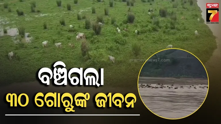 Dhenkanal 
