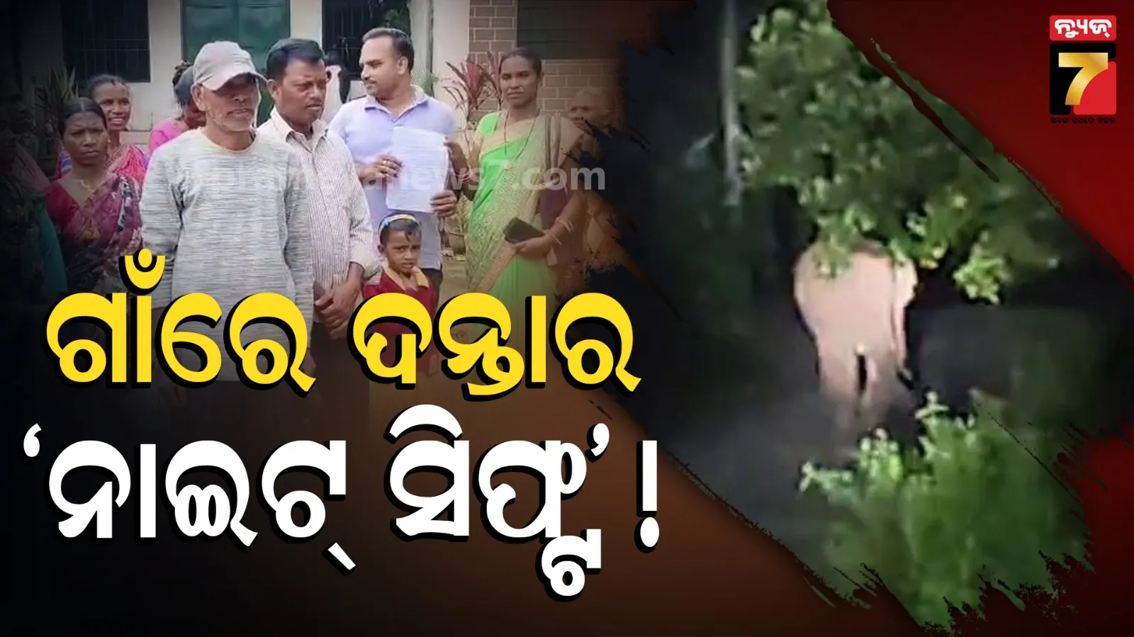 ସନ୍ଧ୍ୟା ୭ଟା ହେଲେ ବାଜେ ଆଲାର୍ମ ! କବାଟ ବନ୍ଦ କରିଦିଅନ୍ତି ଗାଁ ଲୋକେ, ଆରମ୍ଭ ହୁଏ ଦନ୍ତାର ‘ଡେଲି ଶୋ’