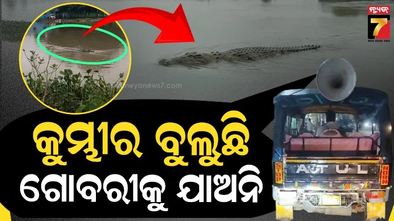 Crocodile in Gobari River : ଶୁଣ ଶୁଣ... ମନ ଦେଇ ଶୁଣ... ଗୋବରୀ ନଈରେ କୁମ୍ଭୀର, ସାବଧାନ !