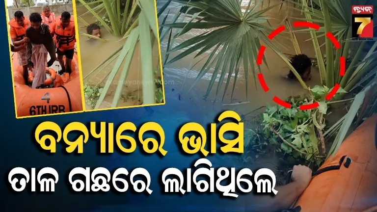 ୫ ଦିନ ହେଲା ତାଳ ଗଛକୁ ଧରି ଲାଖିଥିଲେ, ବଞ୍ଚାଇଦେଲେ ଓଡରାଫ୍ ଟିମ୍