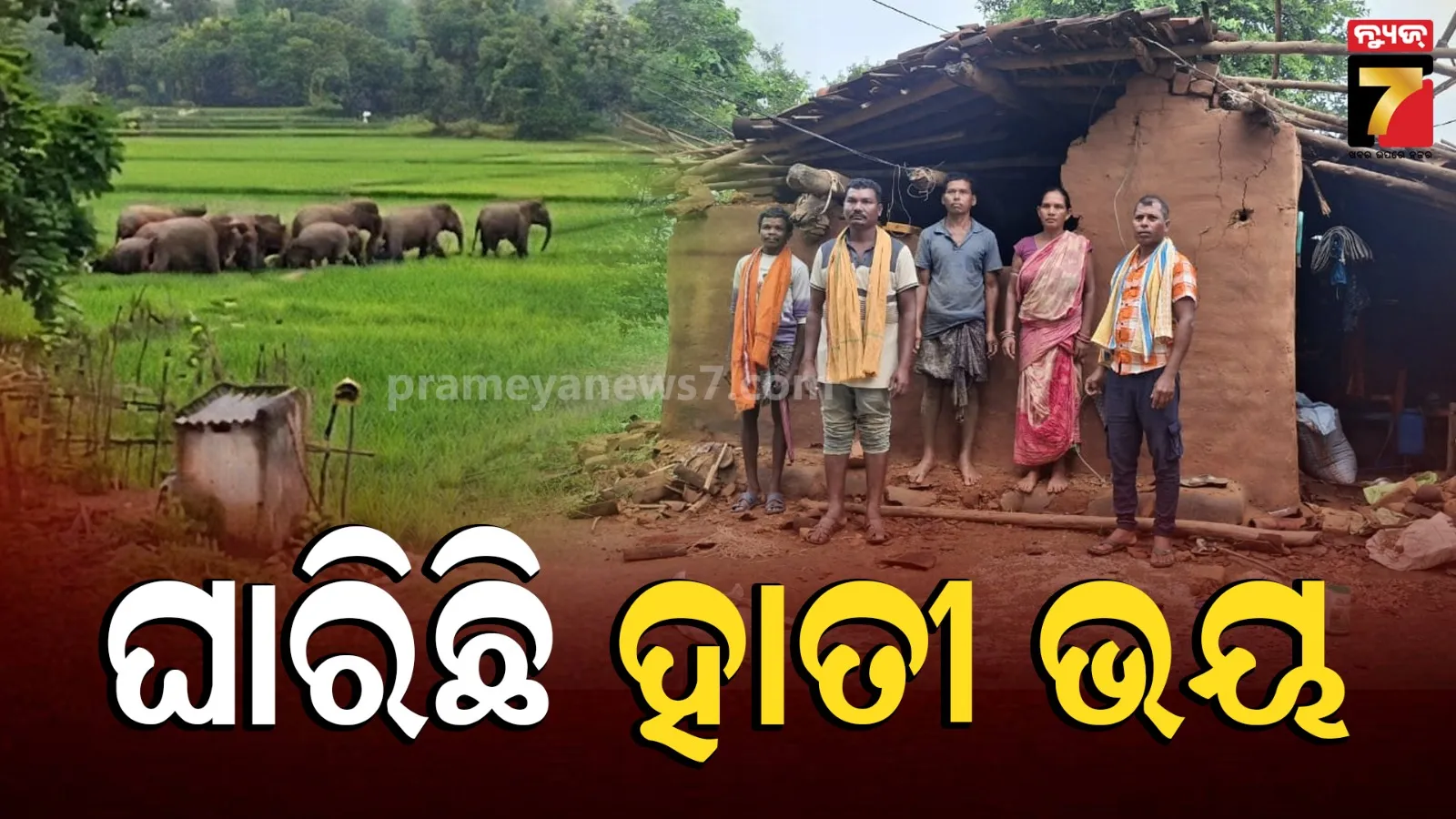 Bolangir