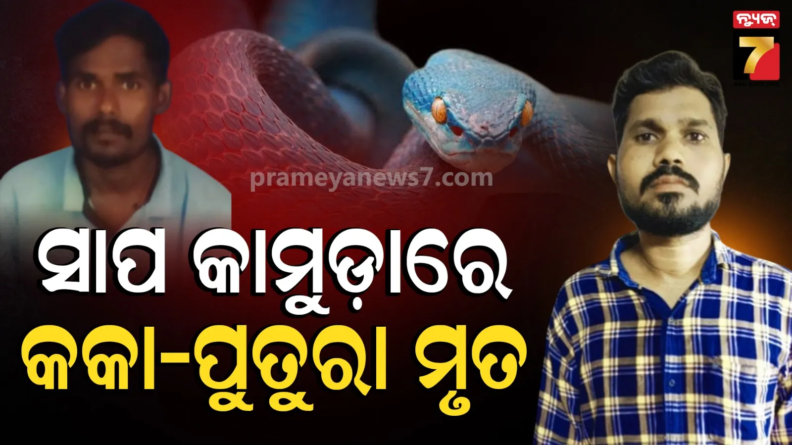 ରାତିରେ ଶୋଇଥିଲେ, ଜାଣି ପାରିଲେନି କାମୁଡ଼ିଦେଲା ସାପ, ଆଉ ଜଣଙ୍କୁ ଡାକ୍ତରଖାନା ଆଣିବା ବେଳେ କକା-ପୁତୁରା ମୃତ   