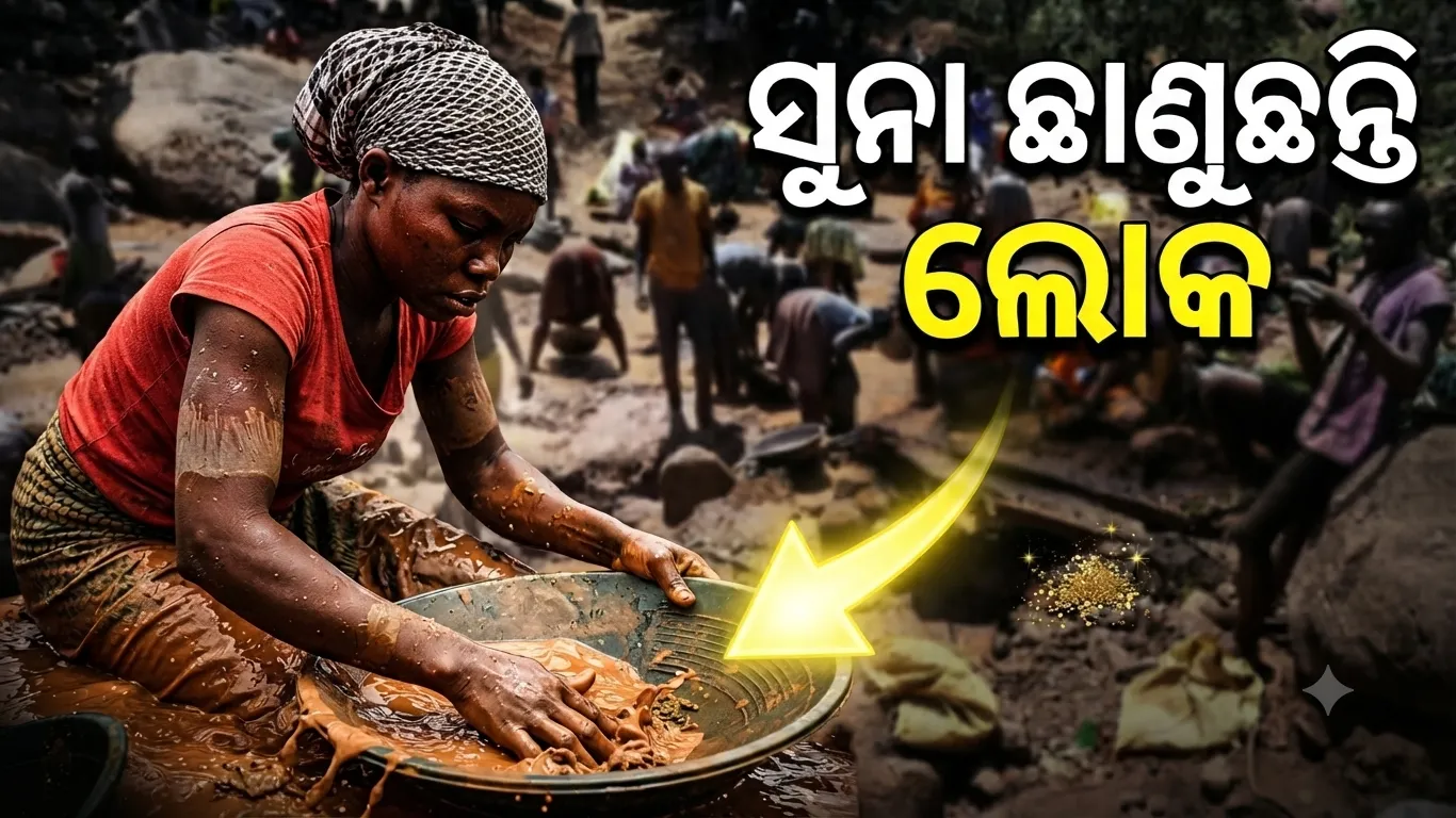 ଏହି ଗାଁରେ ମାଟିରୁ ବାହାରୁଛି ସୁନା, ଖୋଳିବାରେ ଲାଗିଛନ୍ତି ହଜାର ହଜାର ଲୋକ