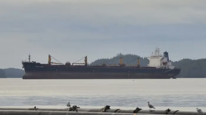 MV Ocean Winner Sinks Off Paradeep Coast