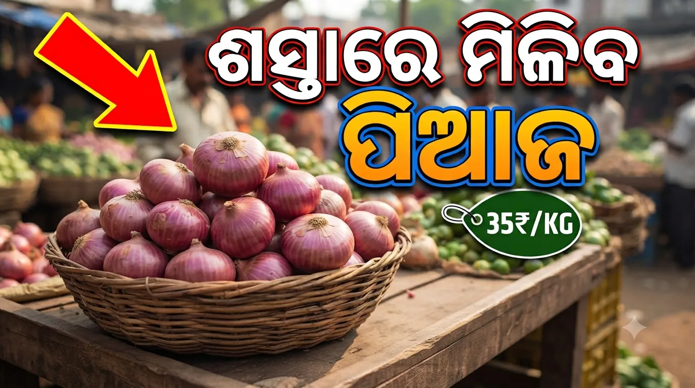 କିଲୋ ପିଛା ୩୫ ଟଙ୍କାରେ ପିଆଜ ବିକିବେ ସରକାର, ମହଙ୍ଗା ମାଡ଼ରୁ ଆଶ୍ୱସ୍ତି ପାଇଁ ନିଷ୍ପତ୍ତି; ଜାଣନ୍ତୁ କେଉଁଠୁ ପାଇବେ 