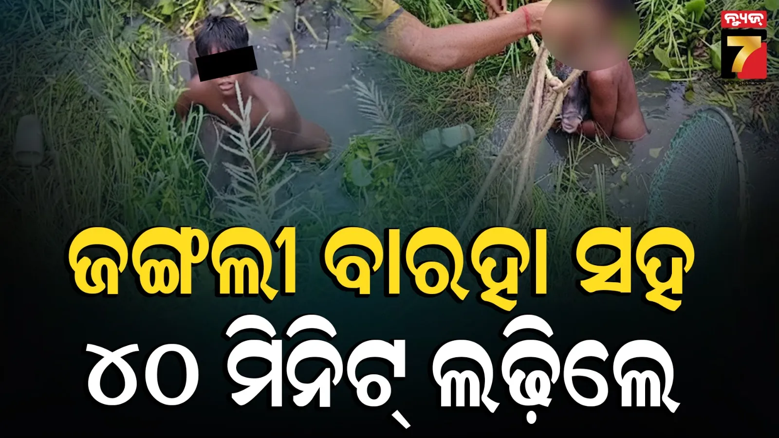 ୧୪ ବର୍ଷ ବାଳକର ସାହସିକତା, ଜଙ୍ଗଲୀ ବାରହା ସହ ଲଢ଼ିଲେ ୪୦ ମିନିଟ୍