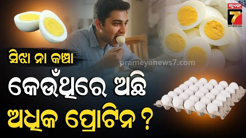 Raw Egg vs Cooked Egg: Which is Better ?