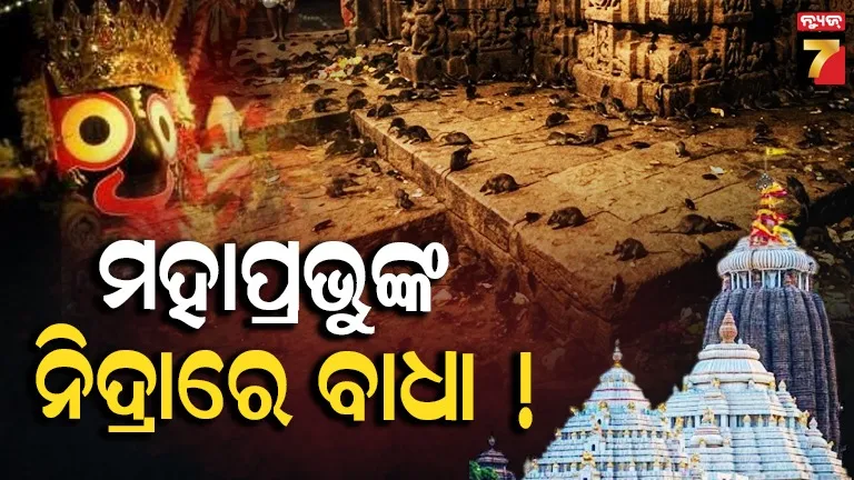 ଶ୍ରୀମନ୍ଦିର ଗର୍ଭଗୃହରେ ମୂଷା-ଅସରପାଙ୍କ ଦୌରାତ୍ମ୍ୟ, ଶ୍ରୀଅଙ୍ଗ ସୁରକ୍ଷା ନେଇ ଚିନ୍ତା