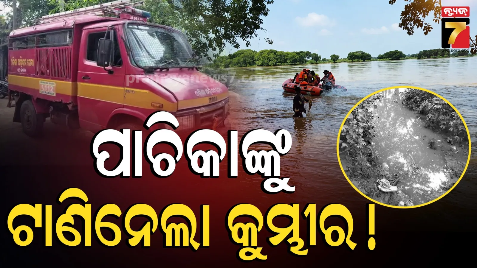 Crocodile Attack in Kendrapada