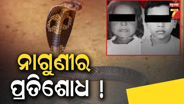 snake